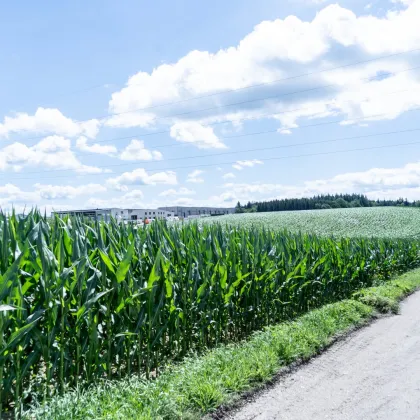 Gewerbegrundstück in Wolfern - perfekt für Ihren Betriebsstandort - Bild 3