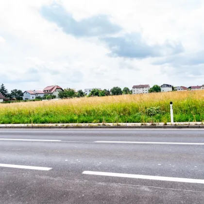 Grundstück mit Planung in Perfekter Lage in Wolfern - Bild 3