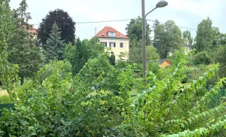 Helle Wohnung mit Blick ins Grüne nahe Hohe Warte