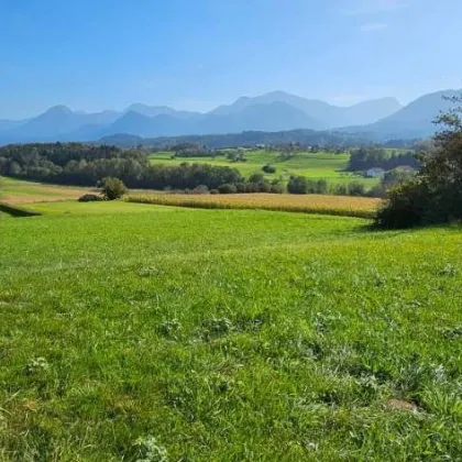 Wunderschönes Grundstück mit 2760 m² Ca. 10 min zum Wörthersee, ca. 12 min zum Faakersee, teilbar - Bild 2