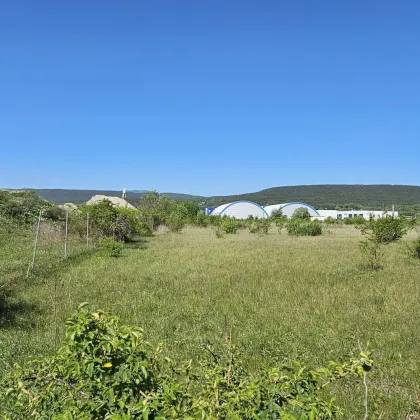 Bad Fischau: Gewerbe-/Industriegrundstück (10.963 m²) Nähe A2 - Miete/Pacht - Bild 3