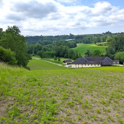 Stattlicher VIERKANTHOF mit 25 ha Grund - Bild 3