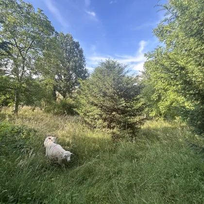 Traumhaftes ruhiges Grundstück mit Blick ins Grüne - Bild 3