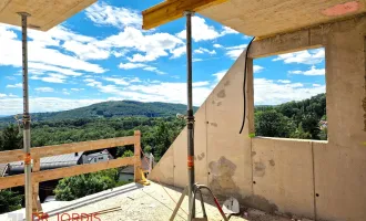 Einfamilienhaus-Niedrigenergiehaus mit Dachterrassenblick auf den Wienerwald, in Fertigstellung