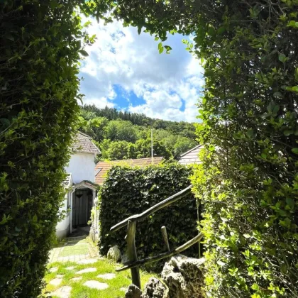 Charmantes, bezugsfertiges Haus mit idyllischer Grünoase samt Nebenhaus gelangt zum Verkauf! - Bild 2