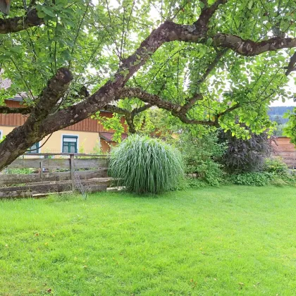 Wohnen am Mühlbach in Wals Käferheim - Schönes und ruhig gelegenes Haus jetzt kaufen! - Bild 3