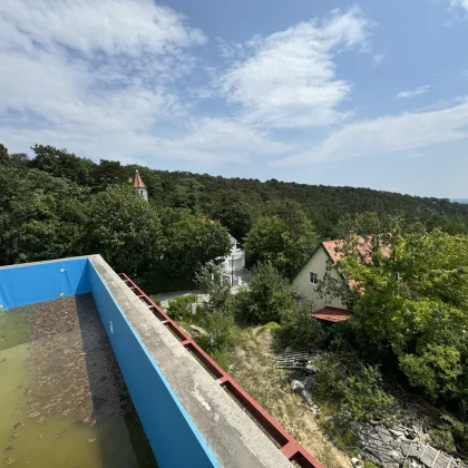 Exklusive Villa in Top-Lage von Baden - Rohbau inkl. Personenaufzug und Swimmingpool - Jetzt entdecken für 2.7M €! - Bild 3