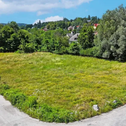 Betriebsbaugrund im Ortszentrum Pressbaum/Tullnerbach - Bild 2