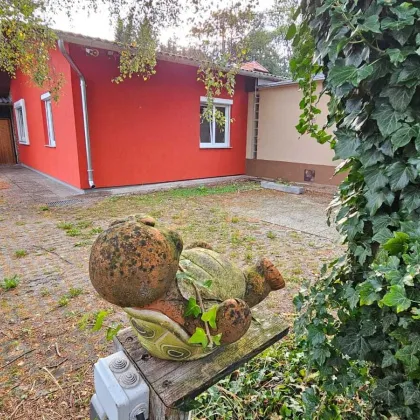 Bungalow mit großem Grundstück - ein Naturidyll - zu vermieten! - Bild 2