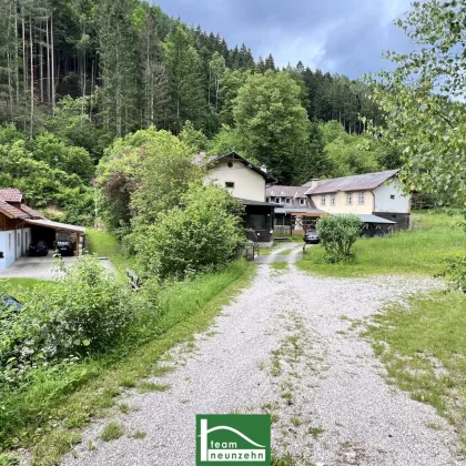 NEUER PREIS! Altbestand auf wunderschönem Grundstück, gesamt ca. 4.700m² (Bauland/Wiesen/Wald) beim Wald nach der Hermannshöhle in absoluter Ruhe- & Naturlage. - Bild 2