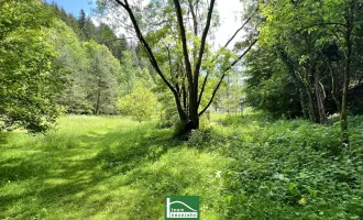 NEUER PREIS! Altbestand auf wunderschönem Grundstück, gesamt ca. 4.700m² (Bauland/Wiesen/Wald) beim Wald nach der Hermannshöhle in absoluter Ruhe- & Naturlage.