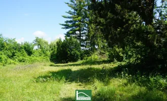 NEUR PREIS. Altbestand und einmaliger Baugrund in ERHÖHTER Lage ca. 993m2.