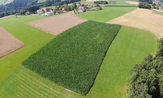 Grundstück mit landwirtschaftlicher Nutzung in 4724 Eschenau/Altenberg