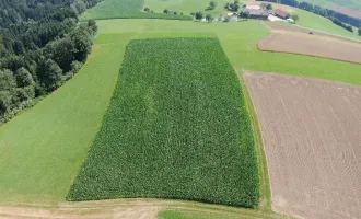 Grundstück mit landwirtschaftlicher Nutzung in 4724 Eschenau/Altenberg