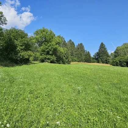 2 Grundstücke - Wohnen und Landwirtschaft vereinen. Idyllische Lage in Penk. - Bild 3