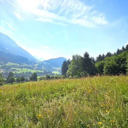 1 Grundstück - Ihr neues Zuhause in einer malerischen Lage in Penk. Ideal auch für Tierhaltung/Landwirtschaft. - Bild 3