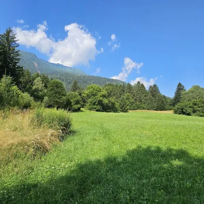 1 Grundstück - Ihr neues Zuhause in einer malerischen Lage in Penk. Ideal auch für Tierhaltung/Landwirtschaft. - Bild 2