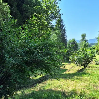 Rarität! Einzigartiges Grundstück in der Mondseelandregion - Bild 2