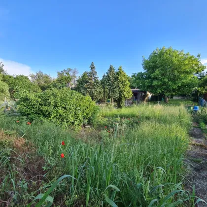 Traum-Eigengrund | Friedhof Großjedlersdorf - Bild 2