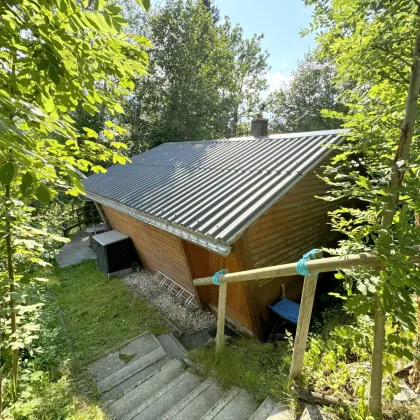 Almhütte in Wald am Schoberpass zu verkaufen! Top Lage - Bild 2