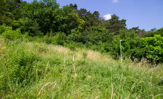 Letzter Baugrund direkt am Waldrand - Mödlinger Zentrumslage, 2 Baugründe, unverbaubarer Fernblick, 703 m² (647 m²) 