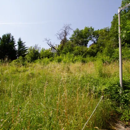 Letzter Baugrund direkt am Waldrand - Mödlinger Zentrumslage, 2 Baugründe, unverbaubarer Fernblick, 703 m² (647 m²)  - Bild 3