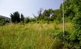 Bauträger Eignung: Baugrund direkt am Waldrand - Mödlinger Zentrumslage, unverbaubarer Fernblick, 1.350 m² 