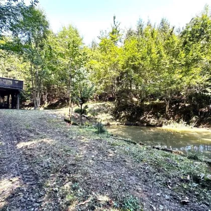 Idyllisches Waldgrundstück mit zwei Fischteichen, Waldhütten, eigener Hangquelle in der grünen  Südsteiermark am Kranachberg in Gamlitz - Bild 3