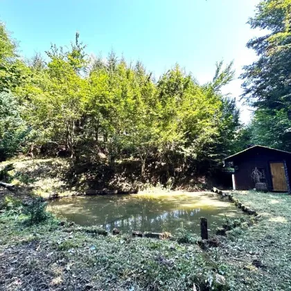 Idyllisches Waldgrundstück mit zwei Fischteichen, Waldhütten, eigener Hangquelle in der grünen  Südsteiermark am Kranachberg in Gamlitz - Bild 2