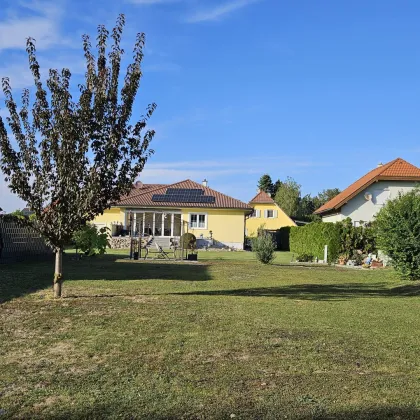 Ebener sonniger Baugrund in Grünruhelage- hier könnte Ihr Traumhaus stehen! - Bild 3