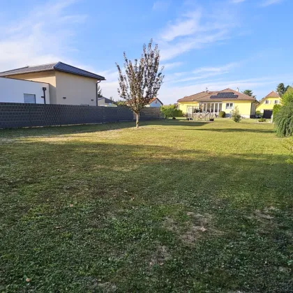 Ebener sonniger Baugrund in Grünruhelage- hier könnte Ihr Traumhaus stehen! - Bild 2