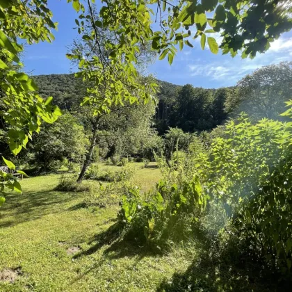 Traumhaftes Baugrundstück in idyllischer Lage der Hinterbrühl - Perfekt für Ihr Eigenheim! - Bild 3