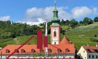 1190 Wien. Luxuswohnugen für Architekturbegeisterte mit Blick auf die Weinberge!