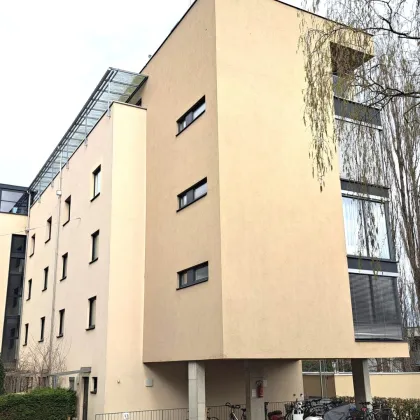 Baiernstraße 3/5 - Charmante Erdgeschosswohnung mit Balkon in Eggenberg - Bild 2