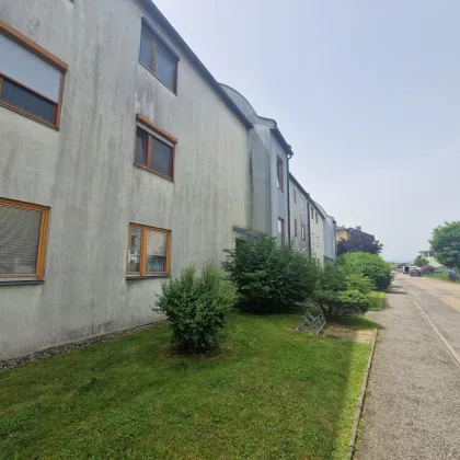 Wohnen in grüner Umgebung - Erdgeschosswohnung in Kalsdorf bei Graz Garten, Terrasse und Garage - Bild 3