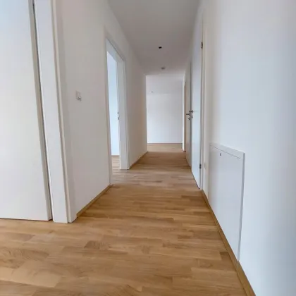 == wunderschöne 3-Zimmer-Wohnung mit Loggia /Neubau / Erstbezug! / - KLIMAAKTIV Gold ausgezeichneter Neubau - keine Provision für den Käufer - Nähe St. Pölten - leistbares Eigentum! == - Bild 2