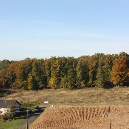 Sonniges Baugrundstück in Grieselstein - Bild 2