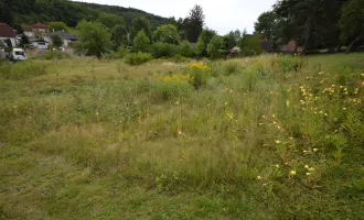 Traumhaftes Baugrundstück in Oberdorf - Ihr eigenes Zuhause im idyllischen Burgenland!