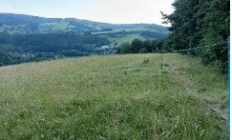 Traumhaftes Grundstück nahe Neulengbach/Altlengbach