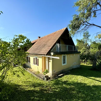 WOHNEN NAHE WALDSCHACHER TEICH: Schönes Grundstück mit sanierungsbedürftigem Altbestand in idyllischer Ruhelage - Bild 3