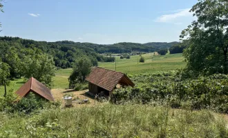 ++ WOCHENEND UND SONNENSCHEIN ++  Kellerstöckl mit Presshaus in entzückender Alleinlage !!