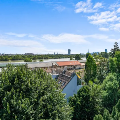 Genießen Sie den Blick auf die Donau von Ihrer perfekten 3-Zimmer Wohnung mit großer Balkonterrasse - Bild 2