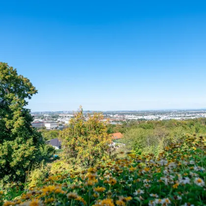 Rarität in elitärer Villenlage: Fernblick über Mödling und Wien - Bild 3