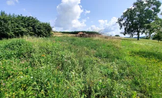 Ihr Platz für ein Traumhaus. - Naturnahes nur 15 Min. vor Wels.