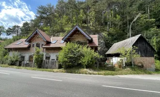 BEZAUBERNDES ANWESEN AM WALDESRAND - BURG FINKENSTEIN