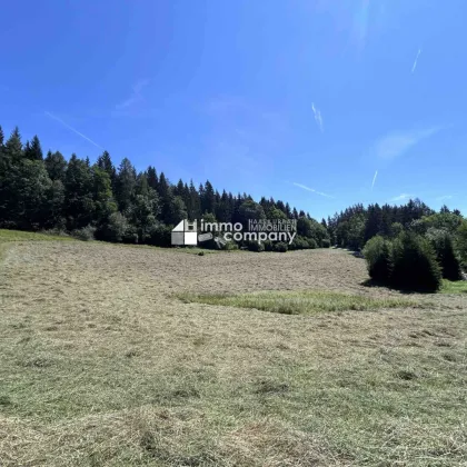 Einzigartige Landschaftsperle auf 1010m Seehöhe mit traumhaftem Berg- und Fernblick I 12ha I Salzburg Süd - Bild 2