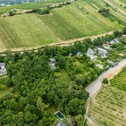 Hochwertiges Baugrundstück am Nussberg: Genehmigte Doppelhaushälfte - Bild 2