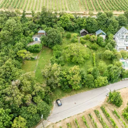 Hochwertiges Baugrundstück am Nussberg: Genehmigte Doppelhaushälfte - Bild 3