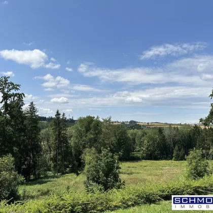 Exklusive Gartenwohnung mit Pool und grandioser Aussicht - Bild 2