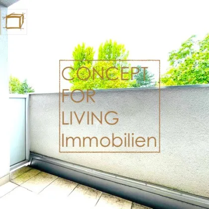 TRAUMHAFTE BALKON-WOHNUNG| SONNIG |HELL |BEGRÜNTE ANLAGE| Extra Küche|AR|Wohnzimmer mit Balkon&Parkblick|2-3 Schlafzimmer - Bild 3